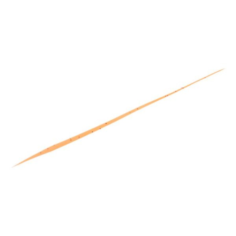 Daiwa Kohga Silicone Tie Nakai Tune Straight Slim Ami Lame